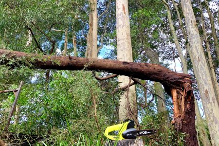 15−1　オーストラリアの田舎で暮らせば
